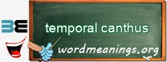 WordMeaning blackboard for temporal canthus